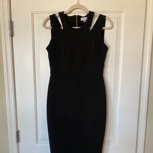 Calvin Klein Business Casual Dress - Size 6